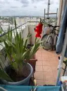 Grandioser Skyline-Blick! Lichtdurchflutete