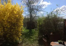 Reihenhaus in Frankfurt Preungesheim ohne Zeitdruck zu verkaufen