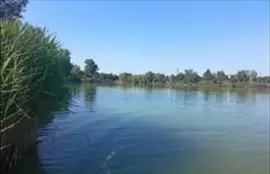 Eladó ház Délegyháza