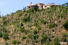 42820 N FLEMING SPRINGS Road Cave Creek