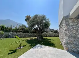 Complejo residencial Hive Villas 