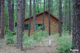 2972 SPRING Drive Lakeside