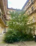 Budapest 8. kerület Rákóczi út