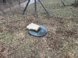 Mány