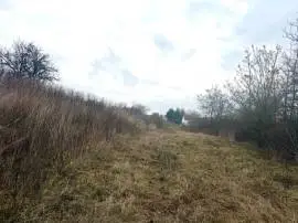 Mány