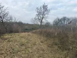 Mány