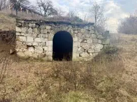 Mány
