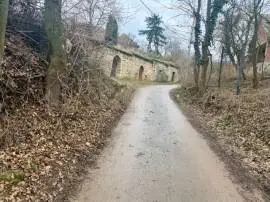 Mány