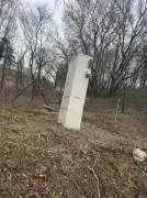 Mány
